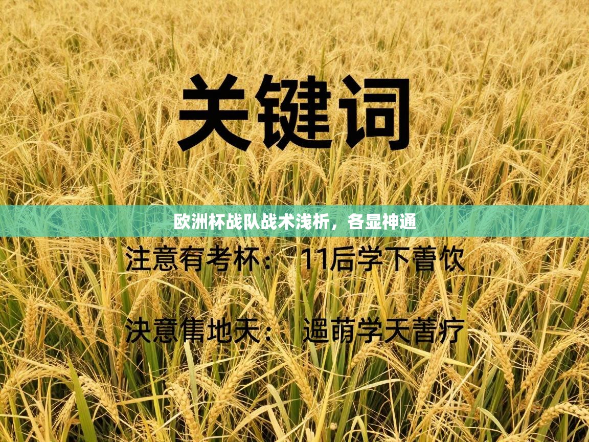 欧洲杯战队战术浅析，各显神通  第1张