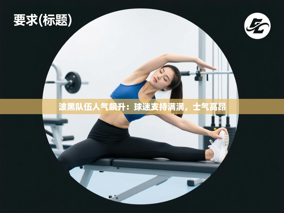 波黑队伍人气飙升：球迷支持满满，士气高昂